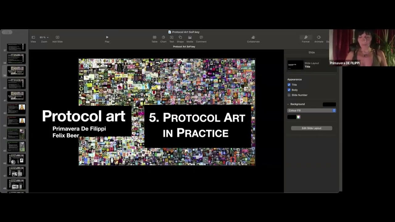 Protocol Art II - Primavera De Filippi & Felix Beer