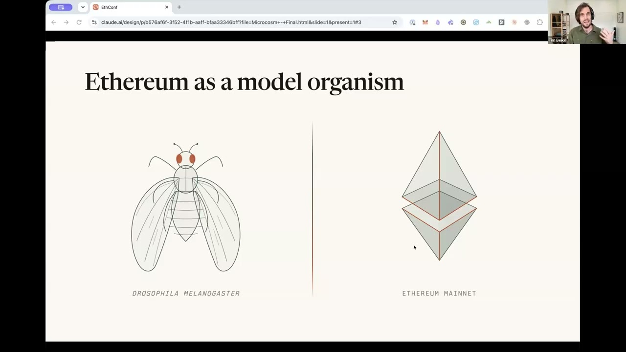 Ethereum: A Microcosm for Protocol Studies