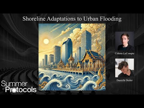 Salon III: Shoreline Adaptations to Urban Flooding - 2024 Protocol Symposium