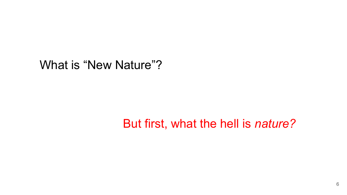 What is New Nature? But first, what the hell is nature?