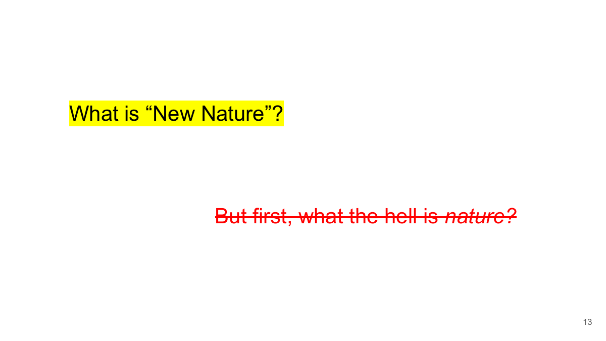 What is New Nature? — transition, nature crossed out