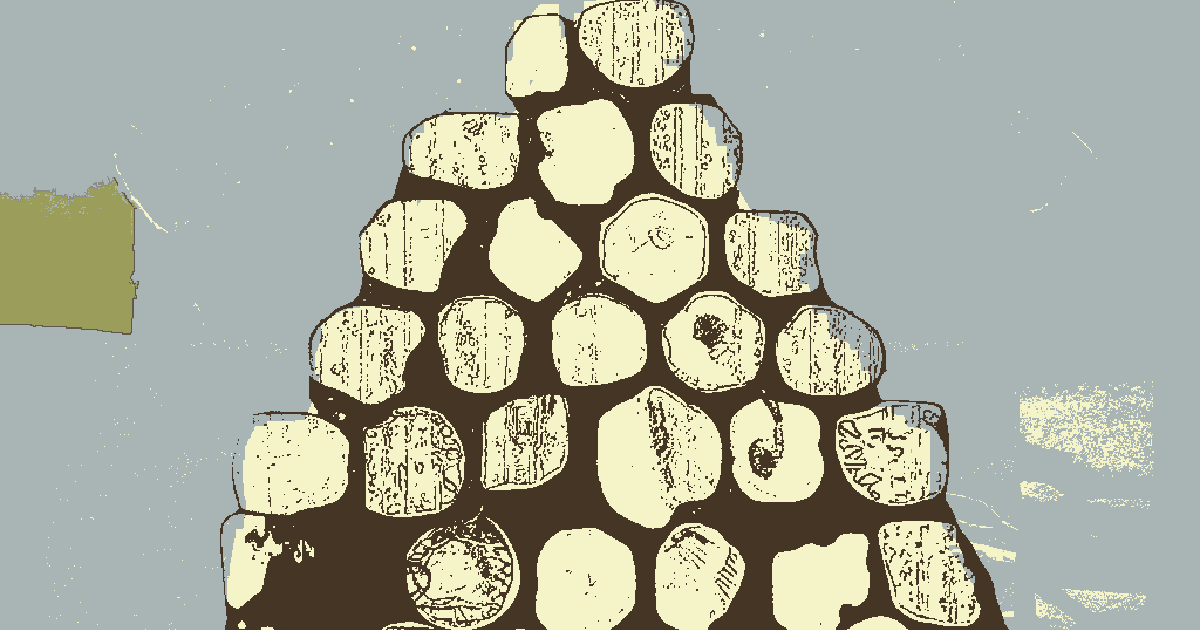 Cover image for "The Big Man"